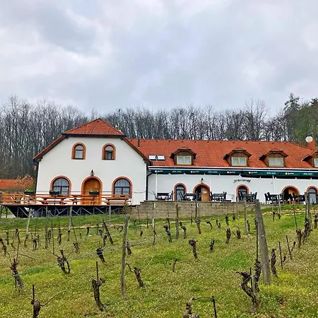 A Vinarstvi Sadek Hotel